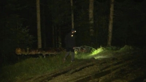 Minoră inconștientă găsită la marginea pădurii. Ce a putut să facă tatăl fetei