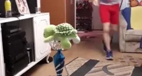 Galerie foto - poza 3