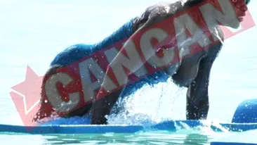 UPS! Serena Williams face baie cu sanul la vedere!