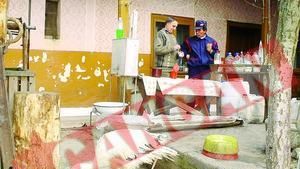 Preotul vindecator creste o barza printre gaini