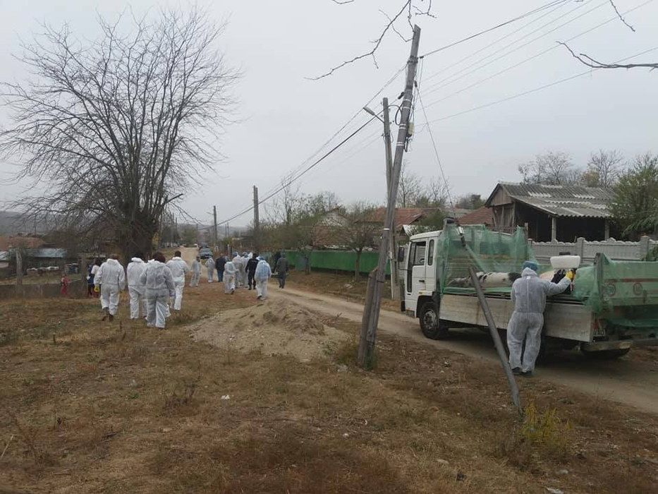 "Comando-urile" anti-pestă în acțiune