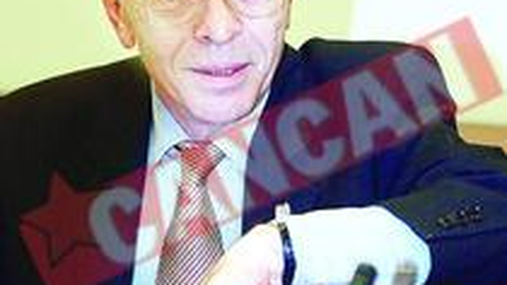Scandalul "Carrefour": Vacaroiu neaga vehement