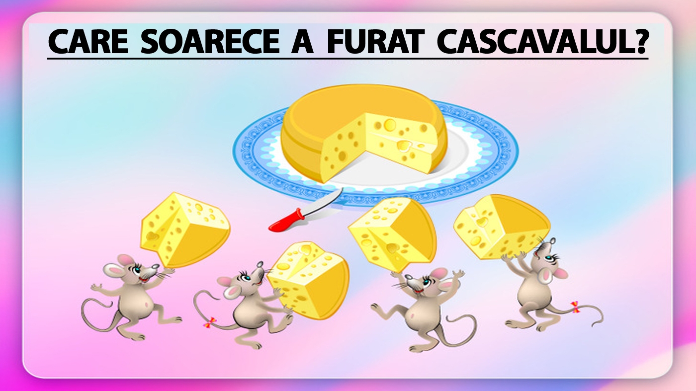 TEST IQ | Care dintre cei 4 șoricei a furat bucata de cașcaval?