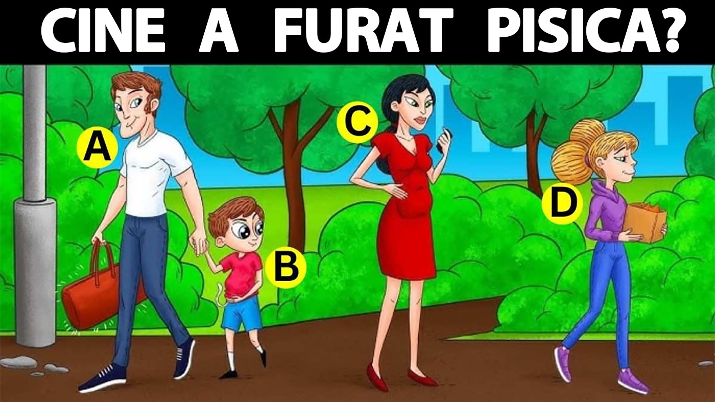 Test IQ exclusiv pentru genii | Care dintre acești 4 oameni a furat pisica?