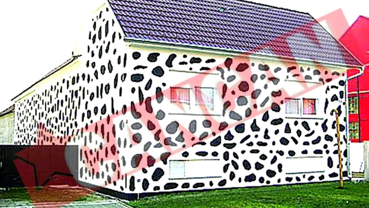 Si-au vopsit casa ca un dalmatian