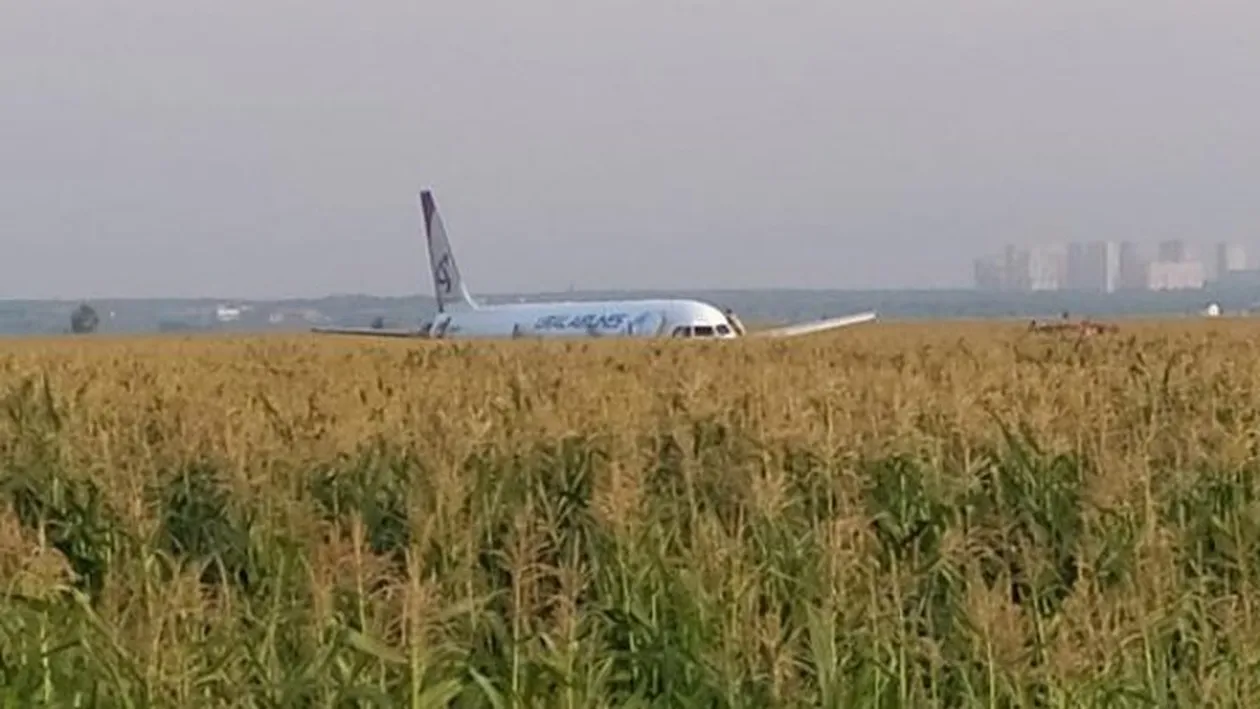 Imagini dramatice filmate din avionul care a aterizat forțat într-un lan de porumb VIDEO