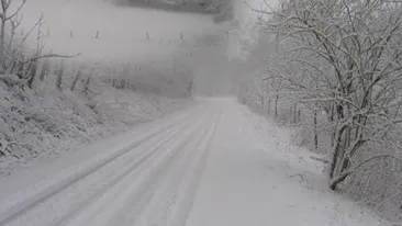 Avertizare Cod portocaliu de ninsori abundente pentru sase judete, din sud-vest