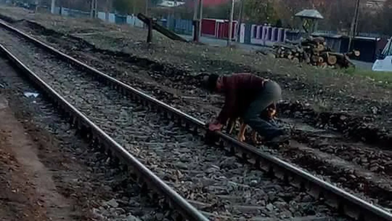 Bătrânul şi-a legat intenţionat câinele de şinele de cale ferată, apoi a aşteptat să vină trenul! Ce s-a întâmplat după câteva minute