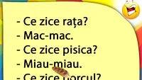 BANCUL ZILEI | Rața, pisica și porcul