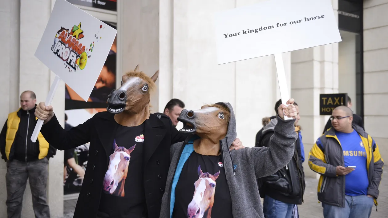 Legatura incredibila dintre Antonia, doi cai si echipa Chelsea! Vezi cum a fost posibila aceasta alaturare