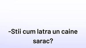 BANCUL ZILEI | Cum latră un câine sărac