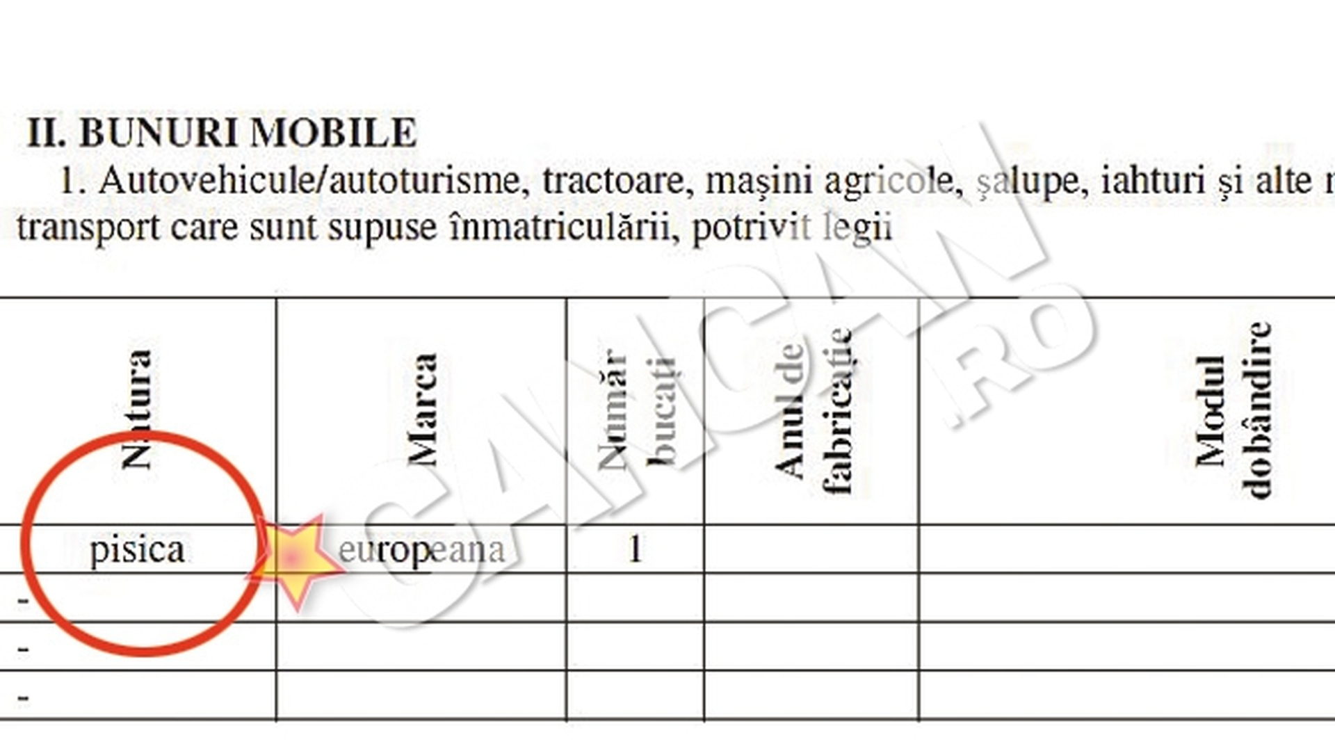 O functionara a Casei de Asigurari de Sanatate din Iasi a inscris animalul de companie la "Bunuri Mobile". Si-a trecut pisica la rubrica "avere"