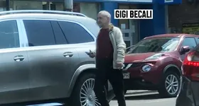 Galerie foto - poza 4