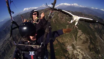 Faceti planorism cu vulturii