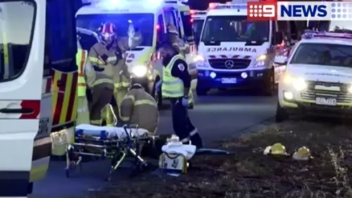 Ciclişti răniţi în Australia, după ce au lovit cadavrul unui cangur