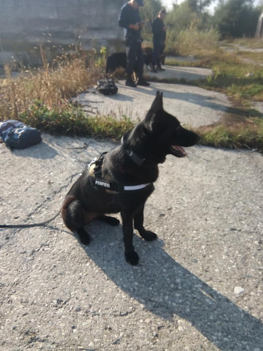 Mura este vedeta pompierilor de la ISU Gorj