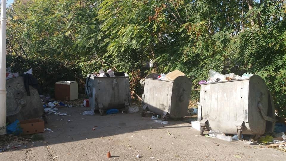 Este invazie de șobolani într-un cartier din Craiova. Directorul unui liceu a adus un câine să prindă rozătoarele