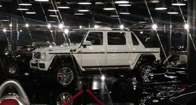 Galerie foto - poza 3