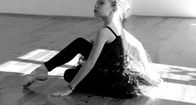 Galerie foto - poza 2