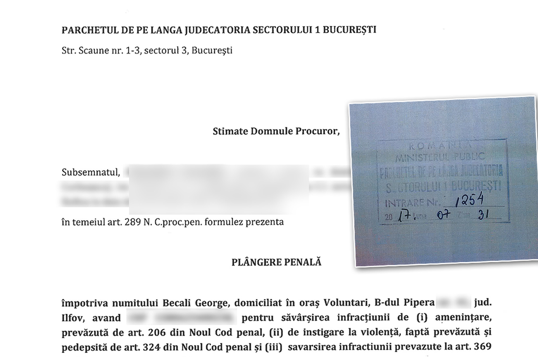 Plângerea depusă împotriva lui Becali