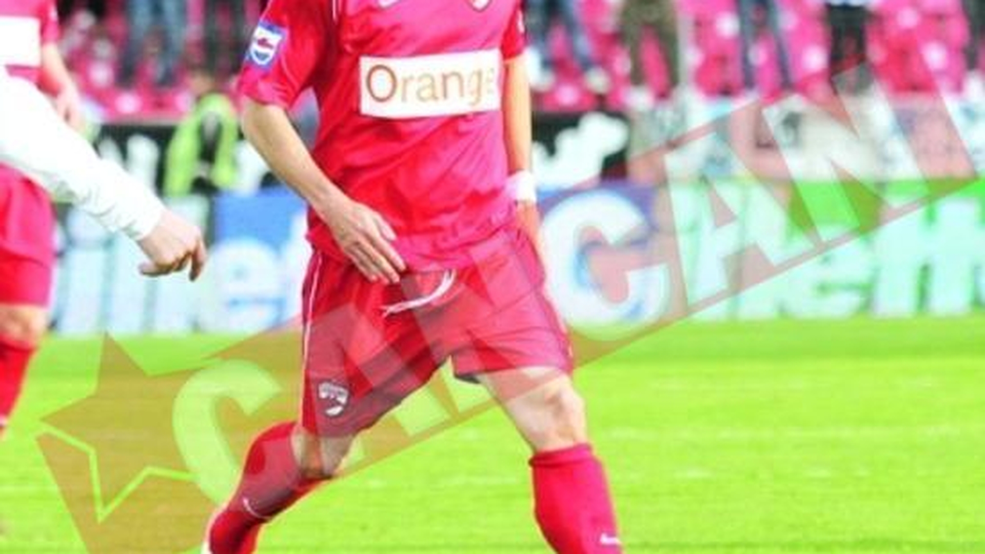 Danciulescu si Margaritescu s-au luat la bataie