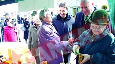 Au roit in jurul Reginei Albinuta