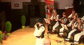 Galerie foto - poza 2