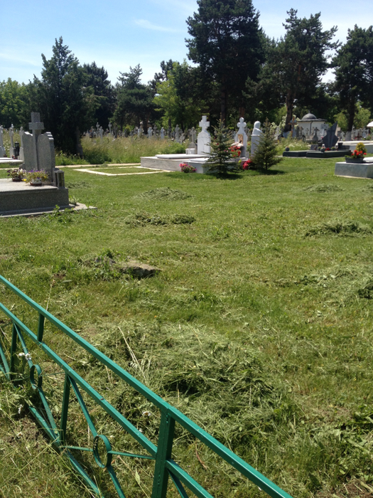 Mormântul Ilenei Ciuculete a fost plasat la distanţă de celelalte, pentru a asigura discreţia necesară familiei