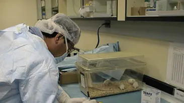 Femeile sunt mai curajoase ca barbatii