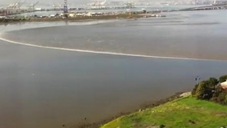 VIDEO Primele valuri provocate de tsunami-ul din Japonia care au ajuns in California pot pune in pericol infrastructura