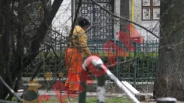 Maturatorii din sectorul 5 au intrat in greva