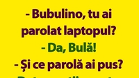 BANC | Bulă, Bubulina și parola de la laptop
