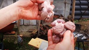 Proprietarului nu i-a venit să creadă! Porcul sacrificat de Crăciun în Sălaj avea 14 rinichi
