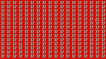 Test de inteligență | Găsiți numerele '37' și '73' care sunt inversate, în doar 15 secunde!