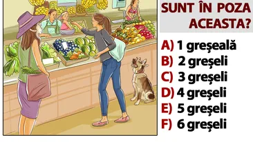 Test de inteligență special pentru genii | Găsiți toate greșelile în aceste 10 poze. Numărul răspunsurilor corecte îți va spune ce IQ ai