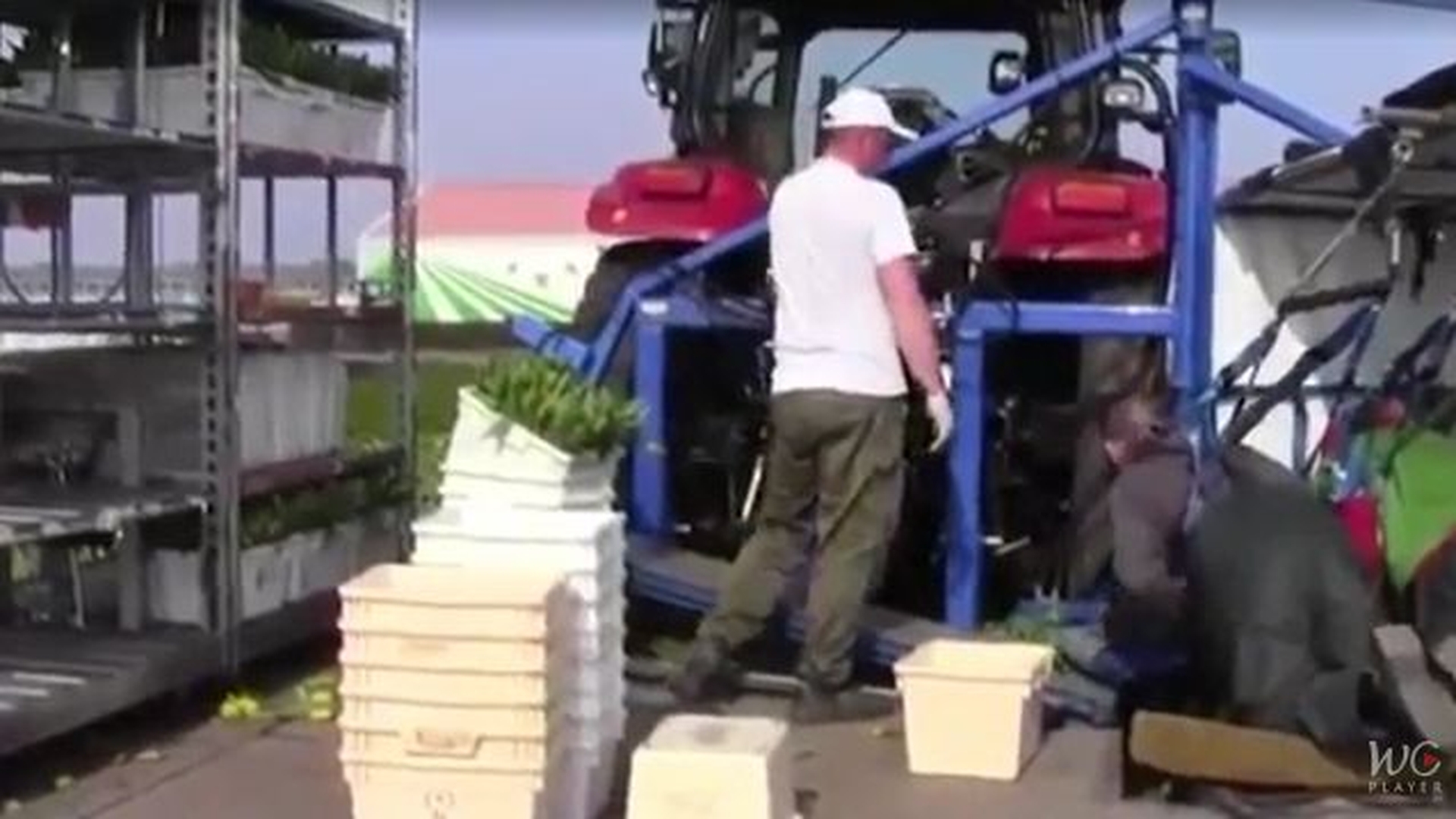 Românii vor fi interziși în mai multe orașe din Olanda! Nici polonezii nu au o soartă mai bună
