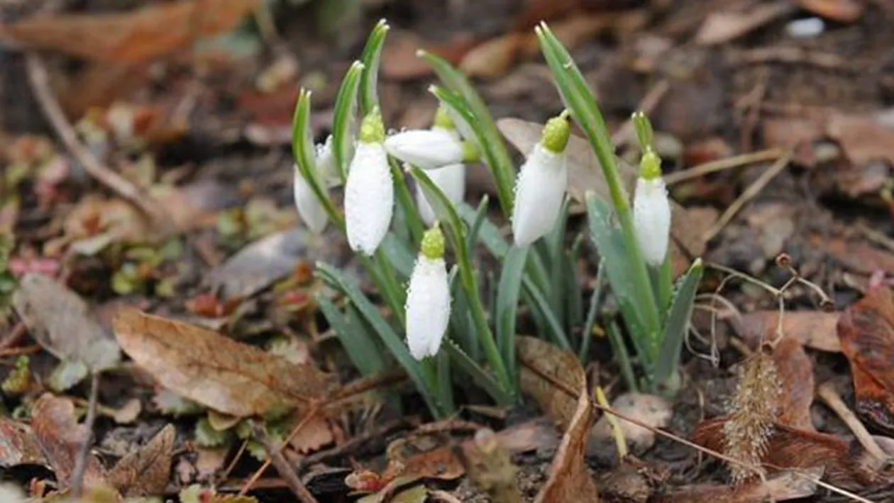 METEO 2 Martie. Cum va fi vremea astazi in Bucuresti si in alte zone din tara!