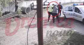 Galerie foto - poza 2