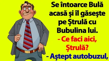 BANC | Se întoarce Bulă acasă și îl găsește pe Ștrulă cu Bubulina