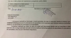 Galerie foto - poza 3