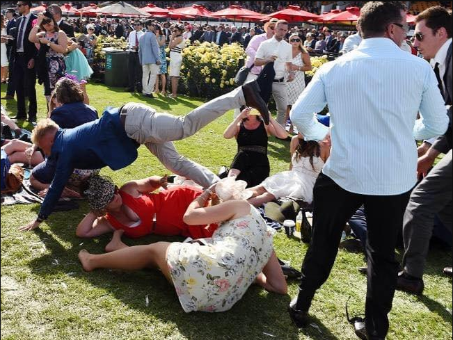 Dezastru la Melbourne Cup /Foto: 
Reddit