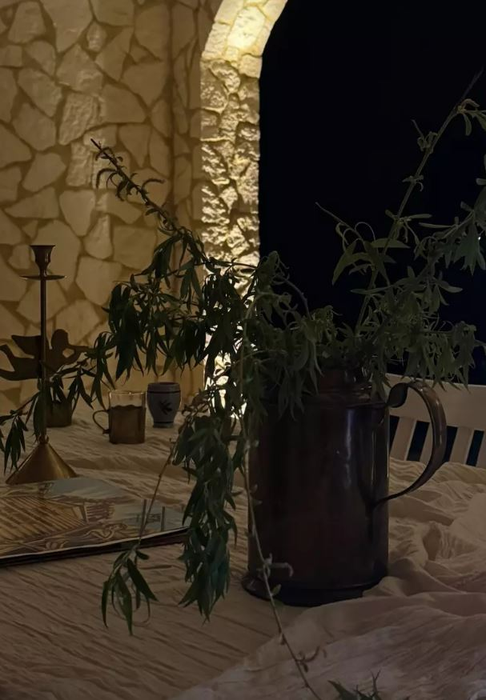 Cum arată casa de la Șușani a Adelei Popescu? Ai zice că e ruptă dintr-un peisaj din Toscana