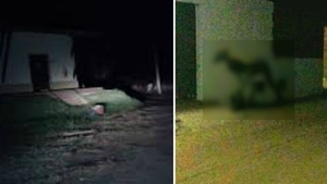 Bestia ciudata pe care nimeni nu si-o poate explica. Iata unde a aparut: ‘Era pe jumatate om, pe jumatate animal!’ VIDEO
