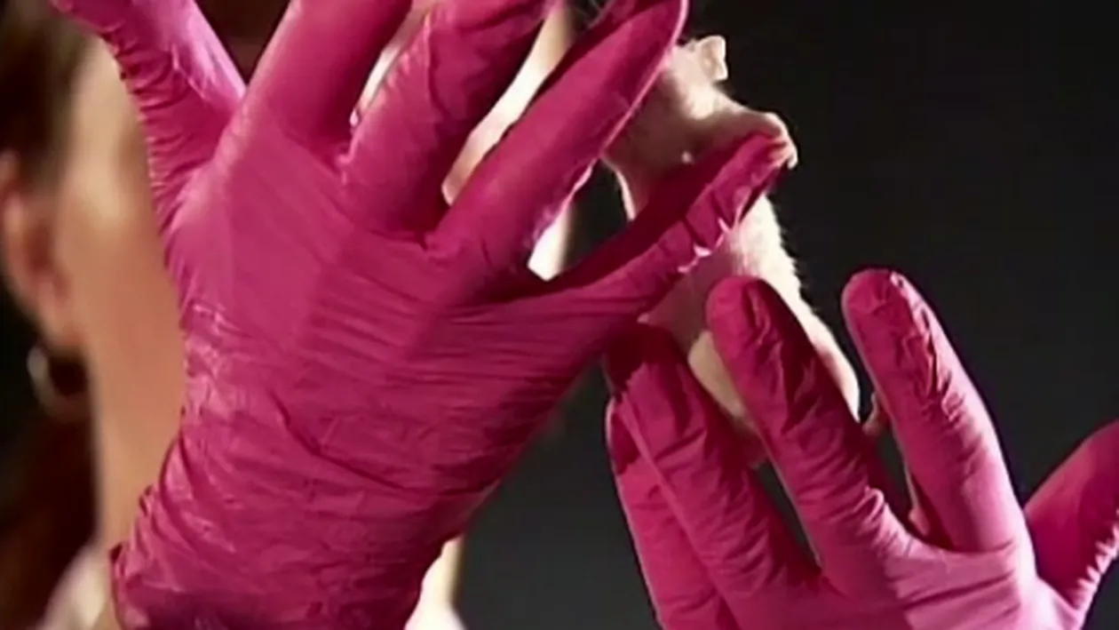 Un avion British Airways se pregătea să decoleze când un pasager a observat ceva neobişnuit. Zborul a fost întârziat cu cinci ore