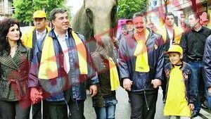 Elefantul politic, scos in strada