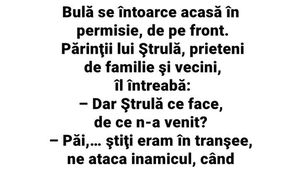 BANC | Bulă se întoarce acasă, în permisie, de pe front