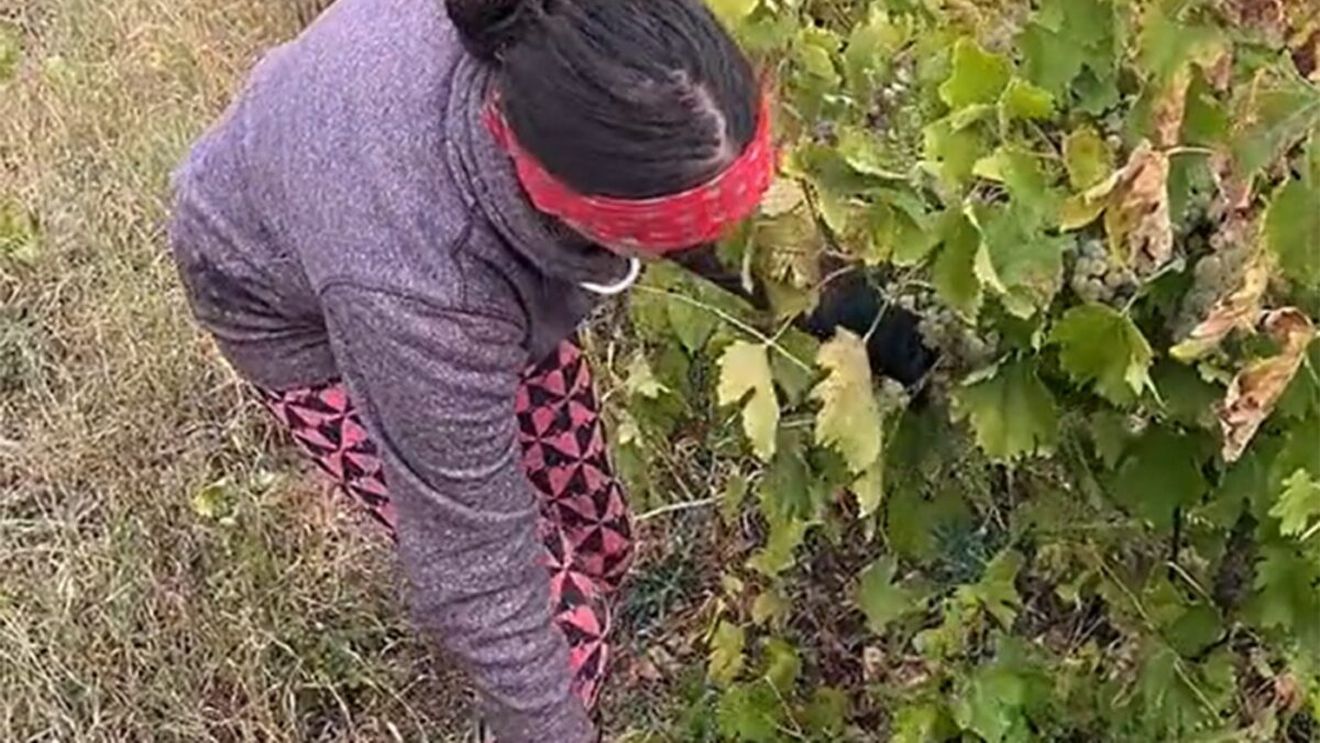 O recunoști?! O fostă vedetă de la Antena 1 a ajuns, acum, să trăiască din mila oamenilor