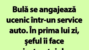 BANC | Bulă se angajează ucenic într-un service auto