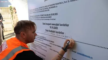 Cea mai mare clinică de psihiatrie pediatrică din România va fi construită de Fundația Metropolis, cu ajutorul lui Ion Țiriac