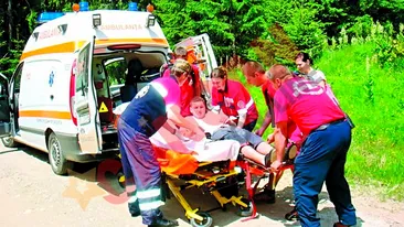 Muscat de vipera cand ii mulgea veninul